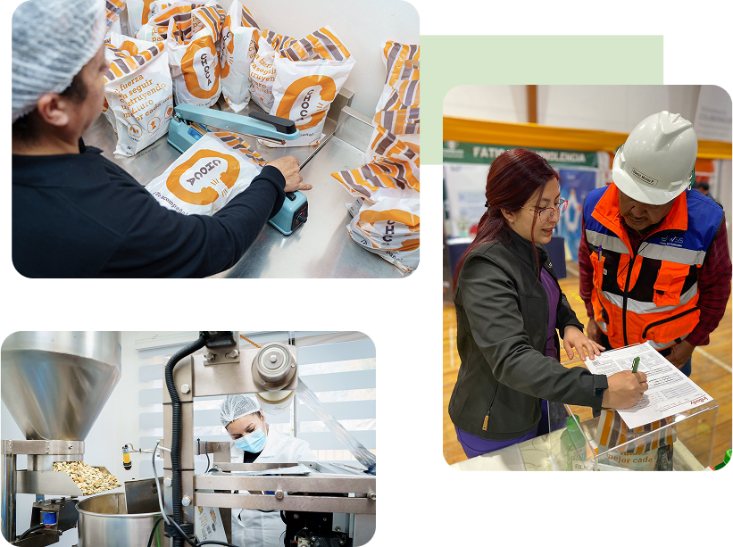 Imagen principal del banner